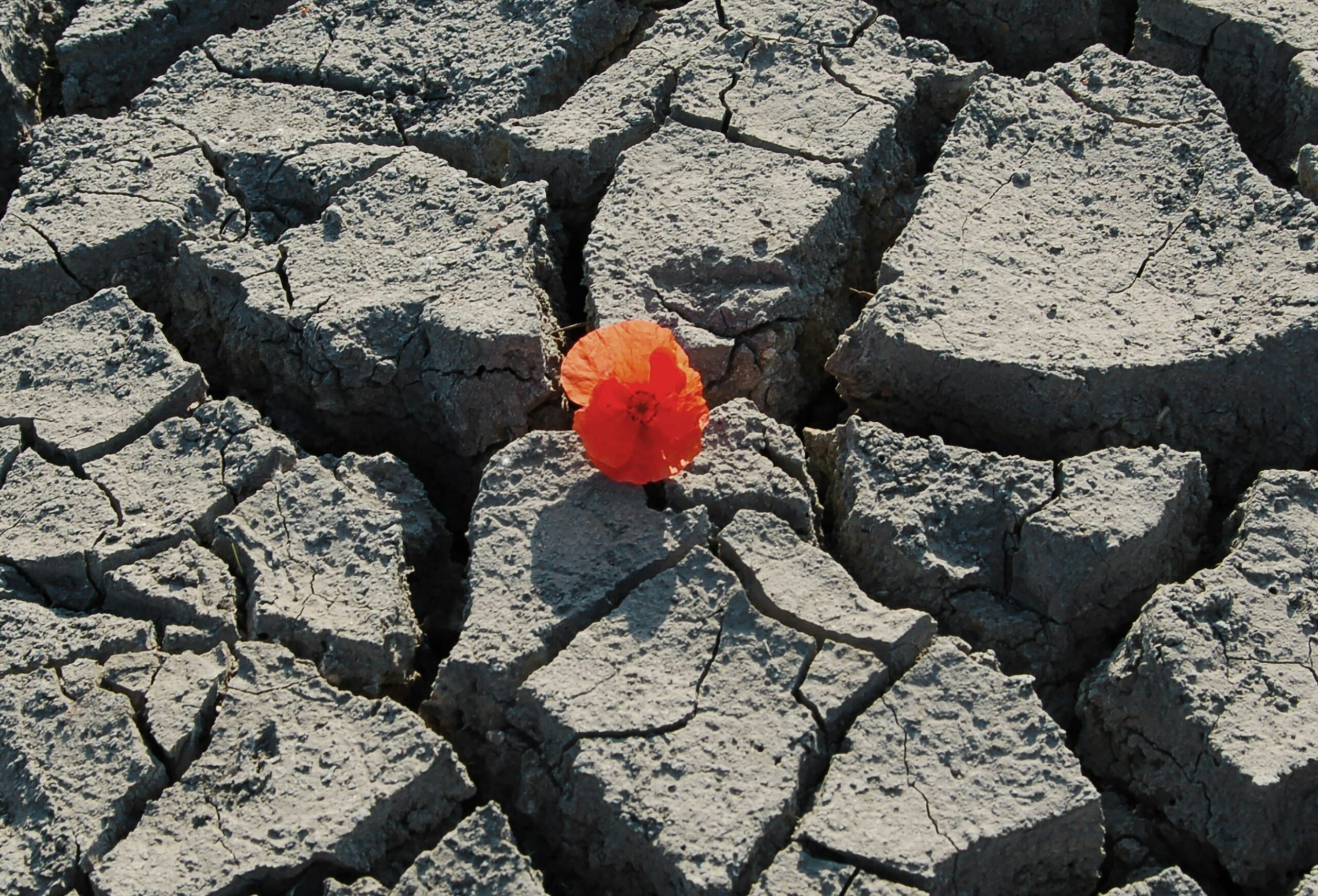 Building workplace resilience in challenging times